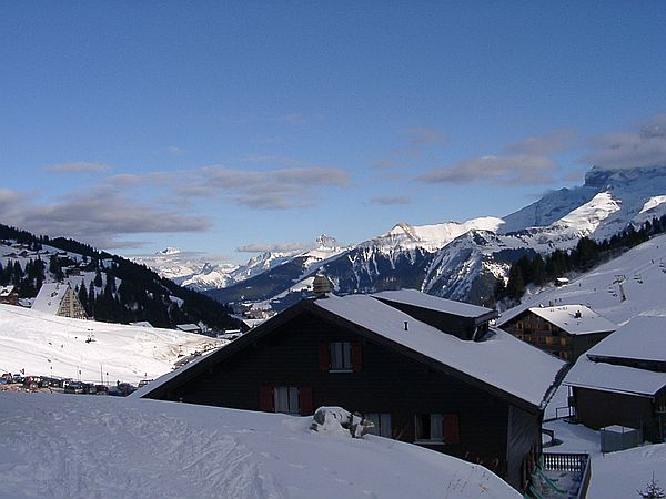 Blick von der Htte auf die Pfiff Huser